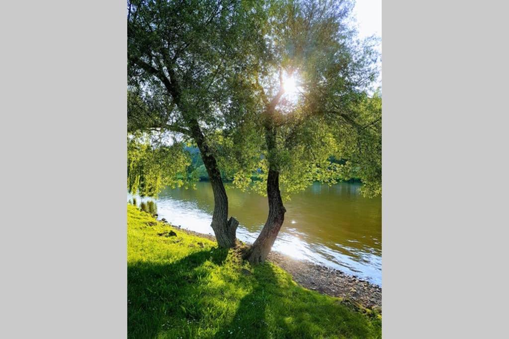 Ferienwohnung 'Burgblick' Вертгейм Экстерьер фото